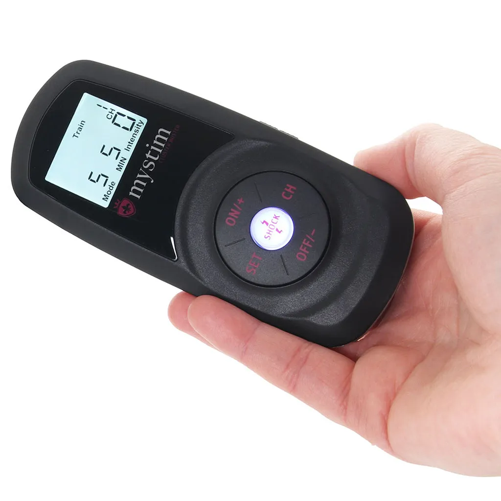 Cluster Buster E-Stim Remote and Receiver
