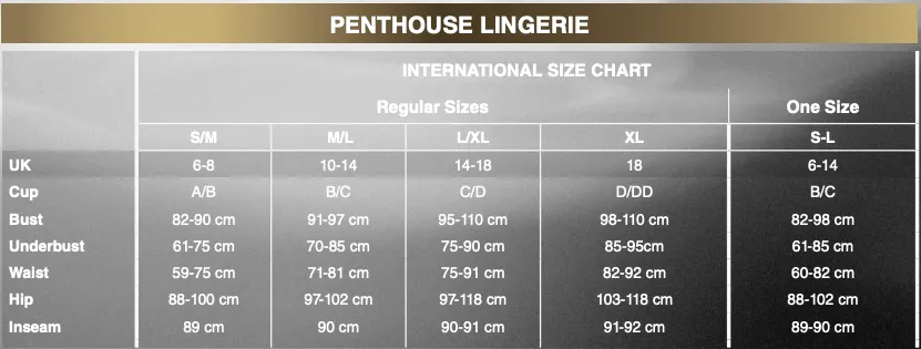 Penthouse - Dreamy Diva Sheer Crotchless Bodystocking