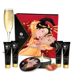 Shunga Romantic Getaway Kit